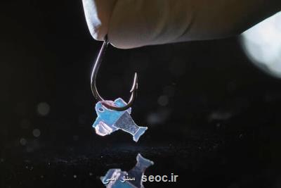 ماهی رباتیک با سلول های قلب انسان شنا می کند!
