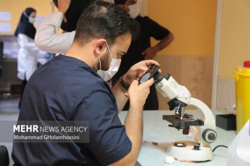 بالاترین مراکز عضو شبکه آزمایشگاهی فناوری های راهبردی شناخته شدند