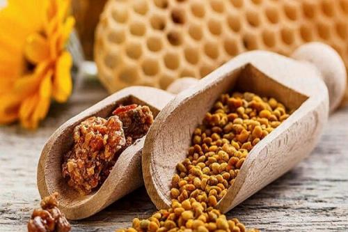 توسعه مکمل های انسانی و دامی بر پایه خواص مخمرها