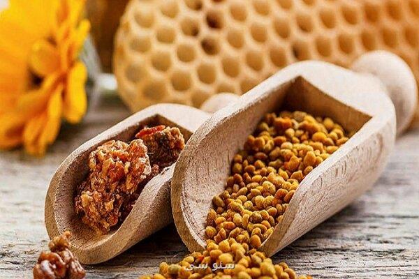 توسعه مکمل های انسانی و دامی بر پایه خواص مخمرها