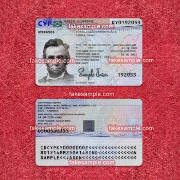 Netherlands Residence Card Fake Template