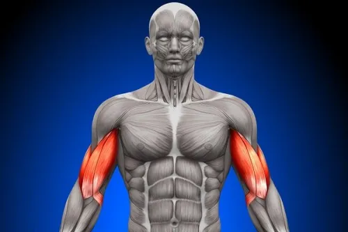 نامه مولکول های بدن به یکدیگر برملا شد