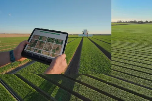 با هوش مصنوعی مزرعه دار آشنا شوید!