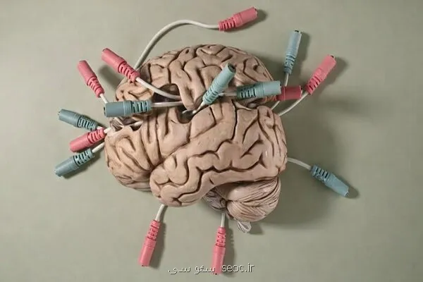 شنیدن صدای دوپامین در مغز زنده