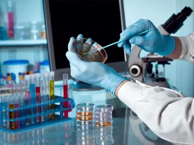 جایگاه سوم دانشگاه تهران در حوزه ژنتیک بعد از 2 دانشگاه علوم پزشکی