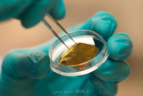 راه اندازی آزمایشگاهی برای توسعه كسب وكار نانومیله های طلا