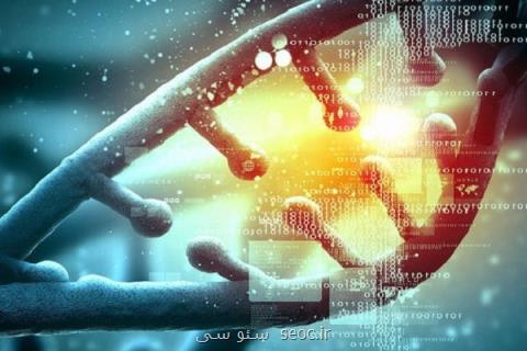 دستگاه تكثیر ژن توسط پژوهشگران دانشگاه شریف ساخته شد