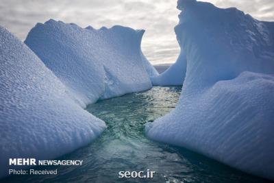 برف مصنوعی از ذوب شدن یخ های قطب جنوب جلوگیری می كند