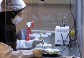 دانشجویان پسادكتری در شركتهای دانش بنیان مشغول بكار می شوند