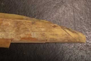 تكنولوژی جدید جهت بررسی استخوان های باستانی بدون لطمه زدن به آنها