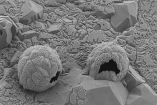 دارورسانی نوین به منظور هدف قرار دادن تومورهای سرطانی