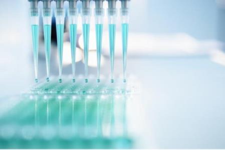 نانوكربنات كلسیم ایرانی تولید شد