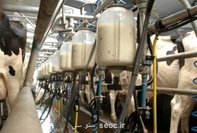 بررسی میزان آفلاتوكسین M1 در شیر خام گاوداری ها توسط پژوهشگران